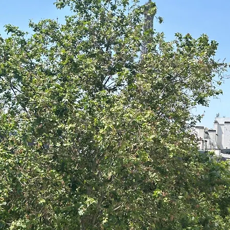 Eiffel Yard Hotel