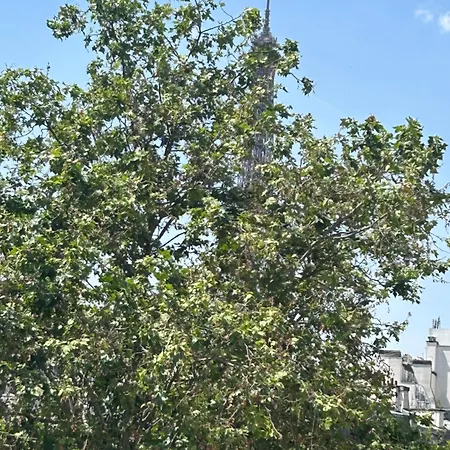 Eiffel Yard Parijs